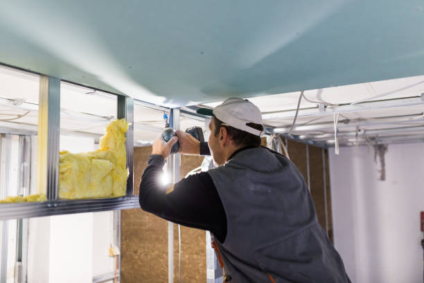 Best Spray Foam Insulation  in Bonadelle Ranchos, CA