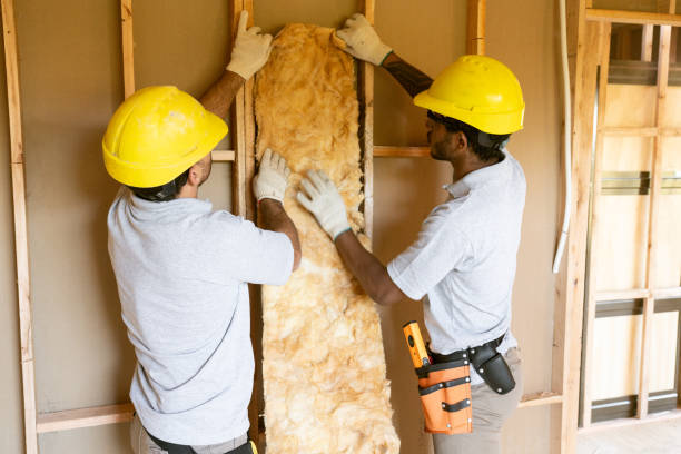 Professional Insulation Contractor in Bonadelle Ranchos, CA