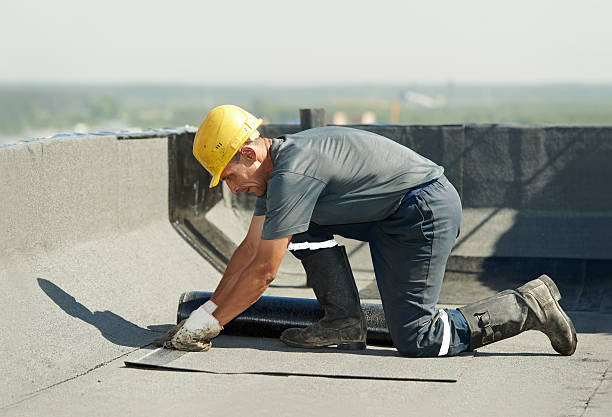 Best Best Insulation Companies  in Bonadelle Ranchos, CA